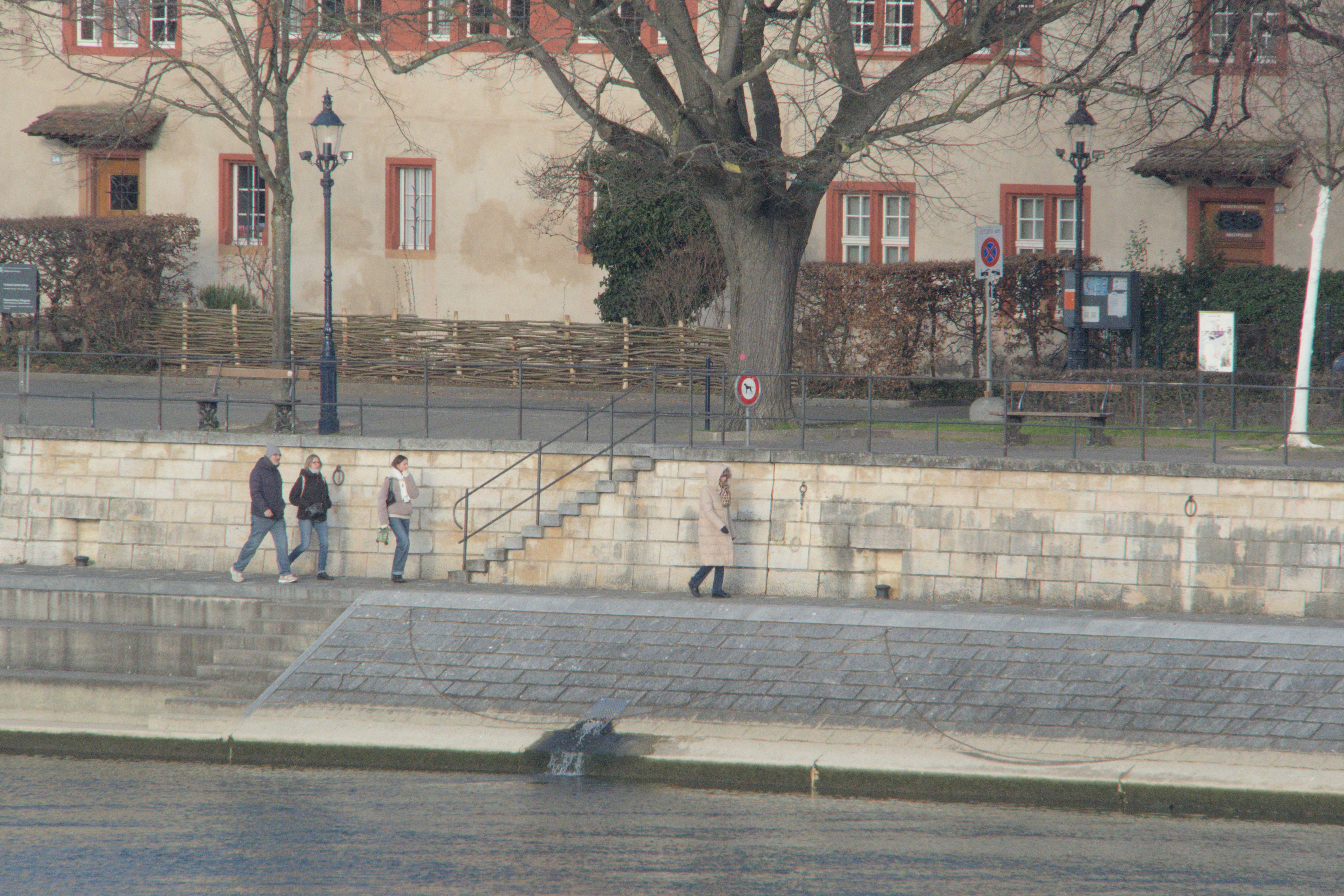 Walking at the Rhine